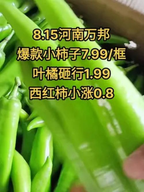 農產品市場行情持續低迷，水果蔬菜優質產品如何破局？