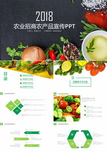 高效展示農產品項目 專業PPT模板獲取與熊貓辦公平臺使用指南